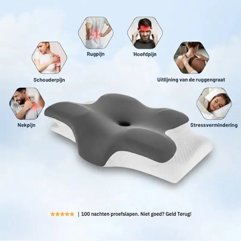 DeepSleep Ergonomisch Kussen